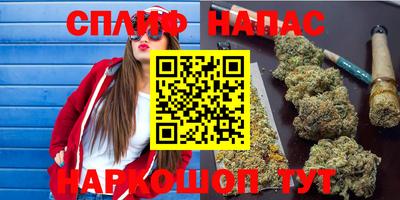 ГАЛЛЮЦИНОГЕННЫЕ ГРИБЫ Нальчик