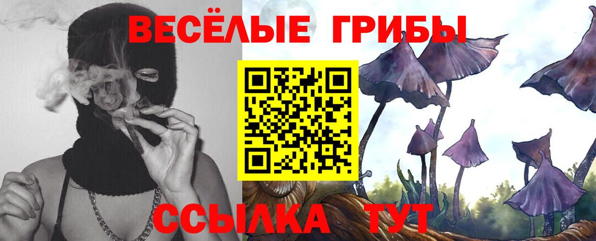 Севастополь  Псилоцибиновые грибы MAGIC MUSHROOMS  как найти наркотики  Вход с VPN 